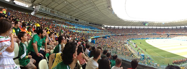 亮点