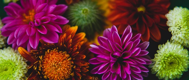 不仅激励着 不仅激励着