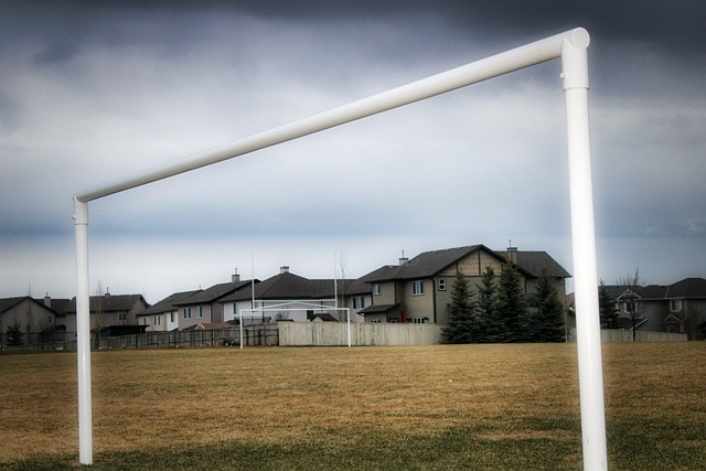 能够在这一 能够在这一