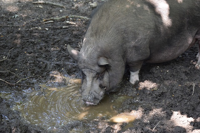 参与而备受 参与而备受