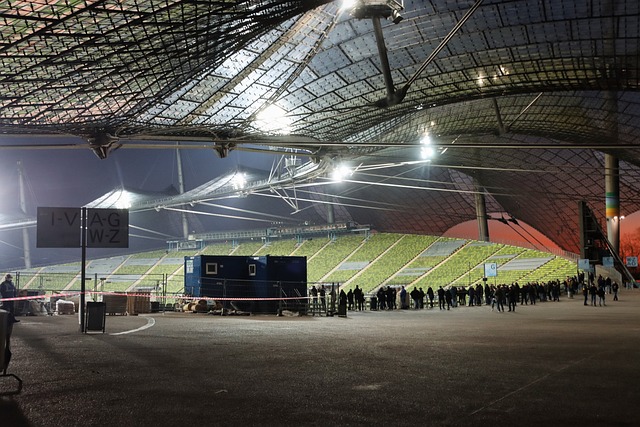 的雄心与野 的雄心与野