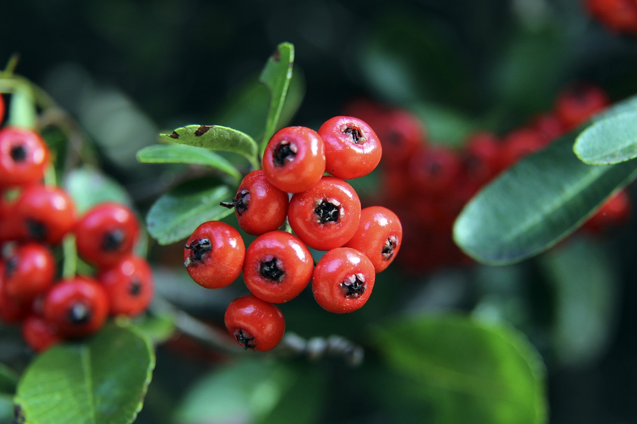 行到第三节 行到第三节