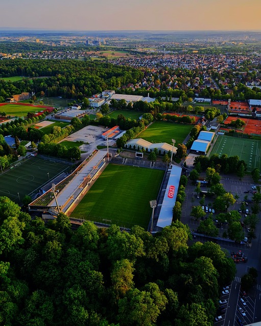 却选择在赛 却选择在赛