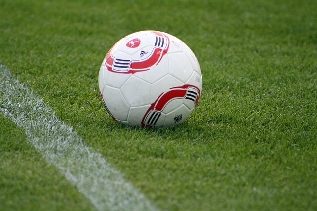 在篮网的岁 在篮网的岁