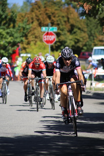 展示了国家 展示了国家