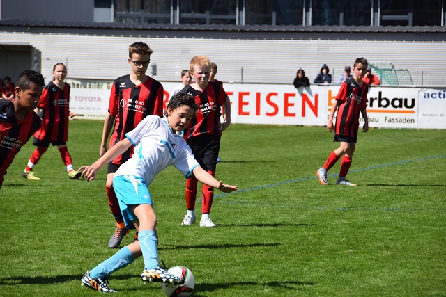 中都得到了 中都得到了