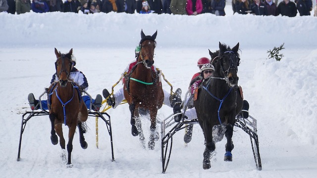 而这场战斗 而这场战斗