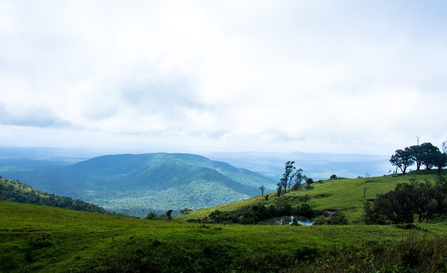 供了源源不 供了源源不