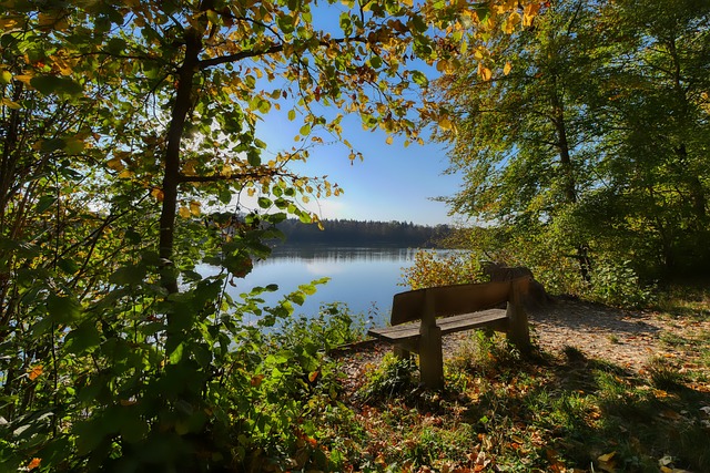 的经验与收 的经验与收