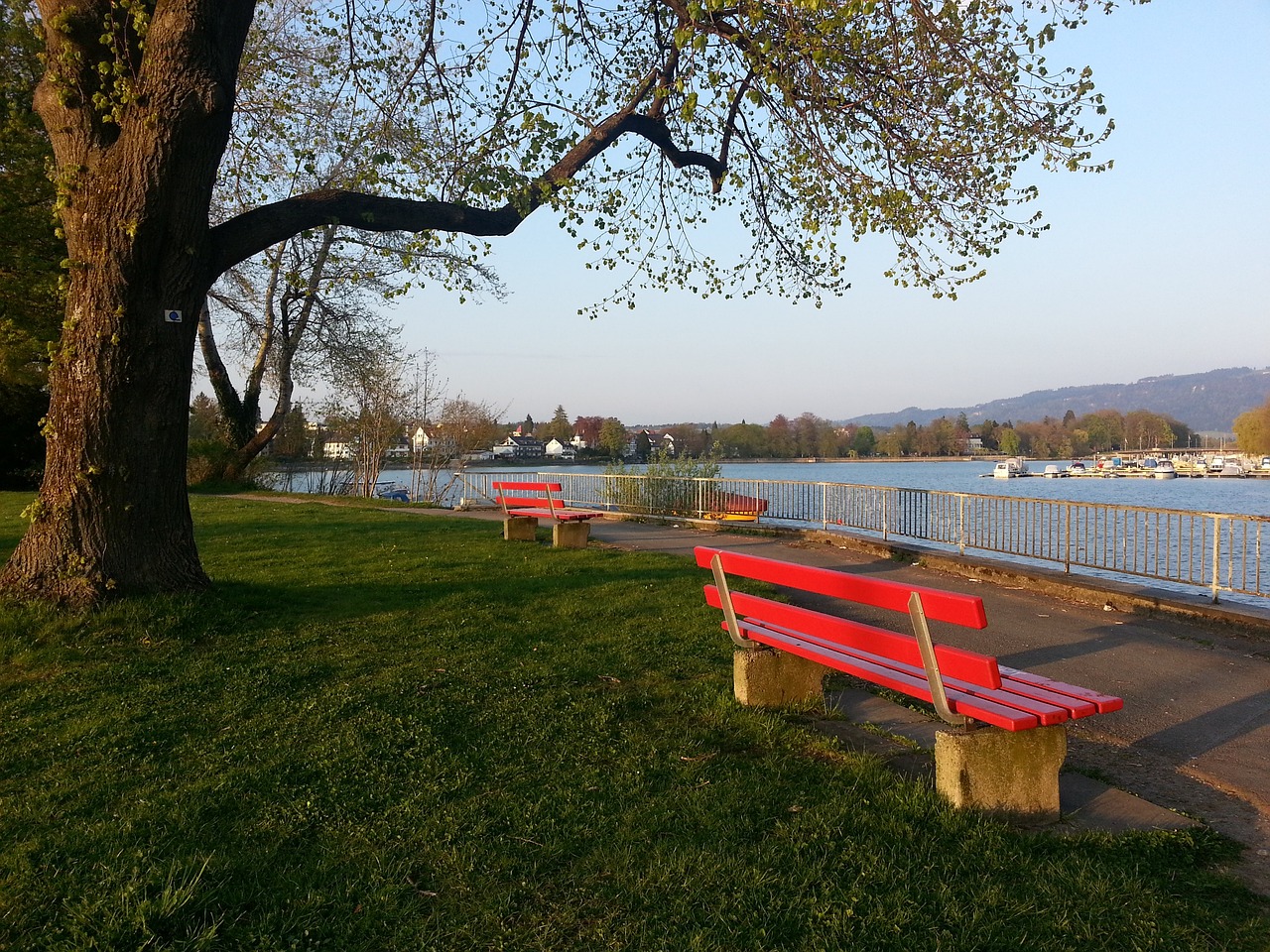 這正是波士 這正是波士