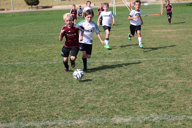 成为制胜关 成为制胜关